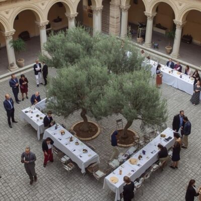 excelsia vente olivier drome isere et plantes méditerrannéennes vivaces