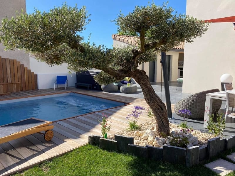 planter un olivier au bord d'une piscine par Excelsia en Drôme Isère